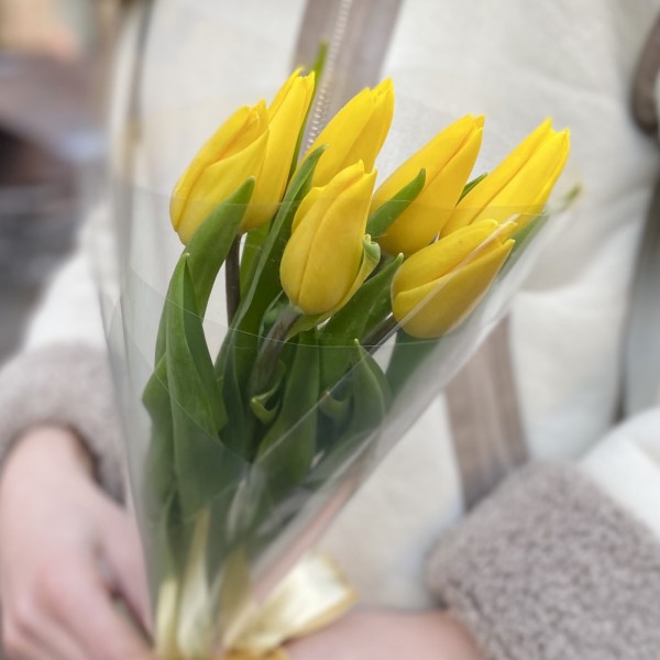 7 желтых тюльпанов в пленке